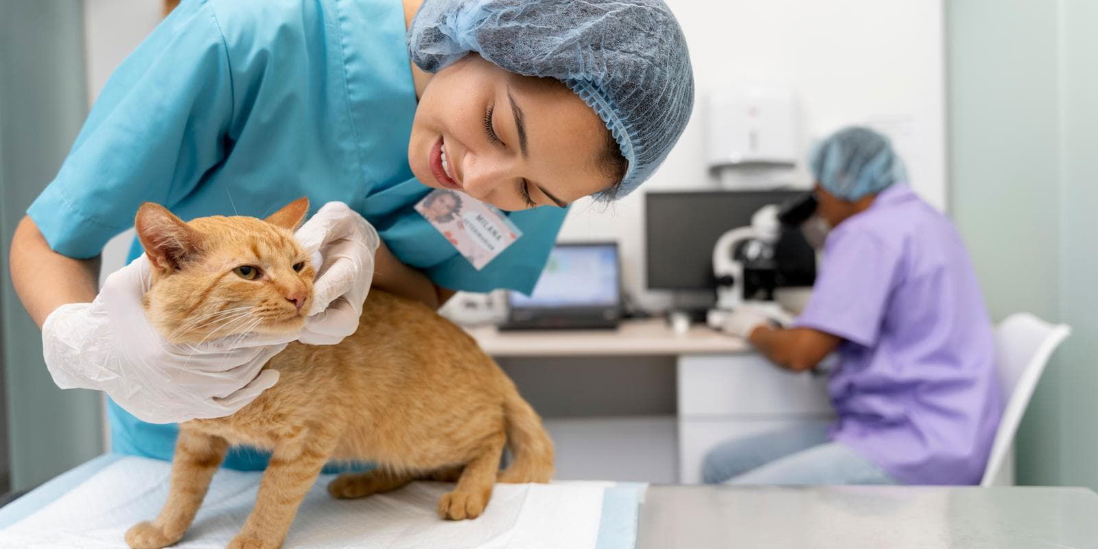 Aplikasi Klinik Hewan