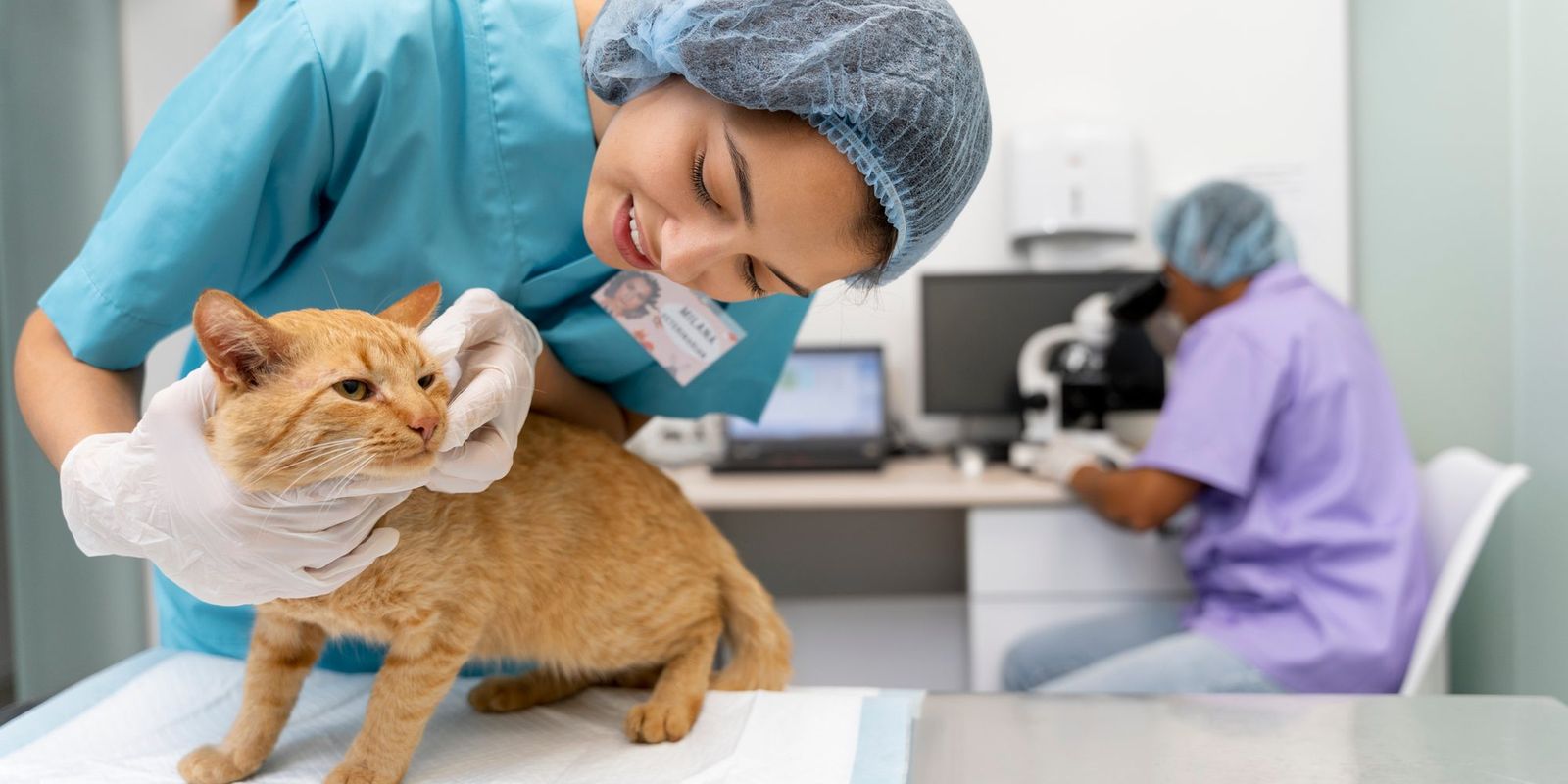 Aplikasi Klinik Hewan