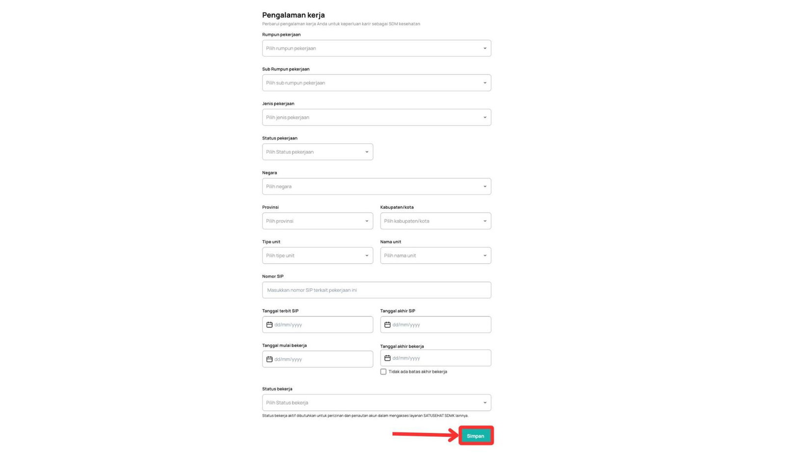 Data Pekerjaan SDMK